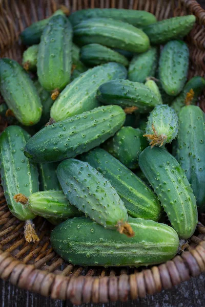 Komkommers Een Korf Houten Oppervlak — Stockfoto