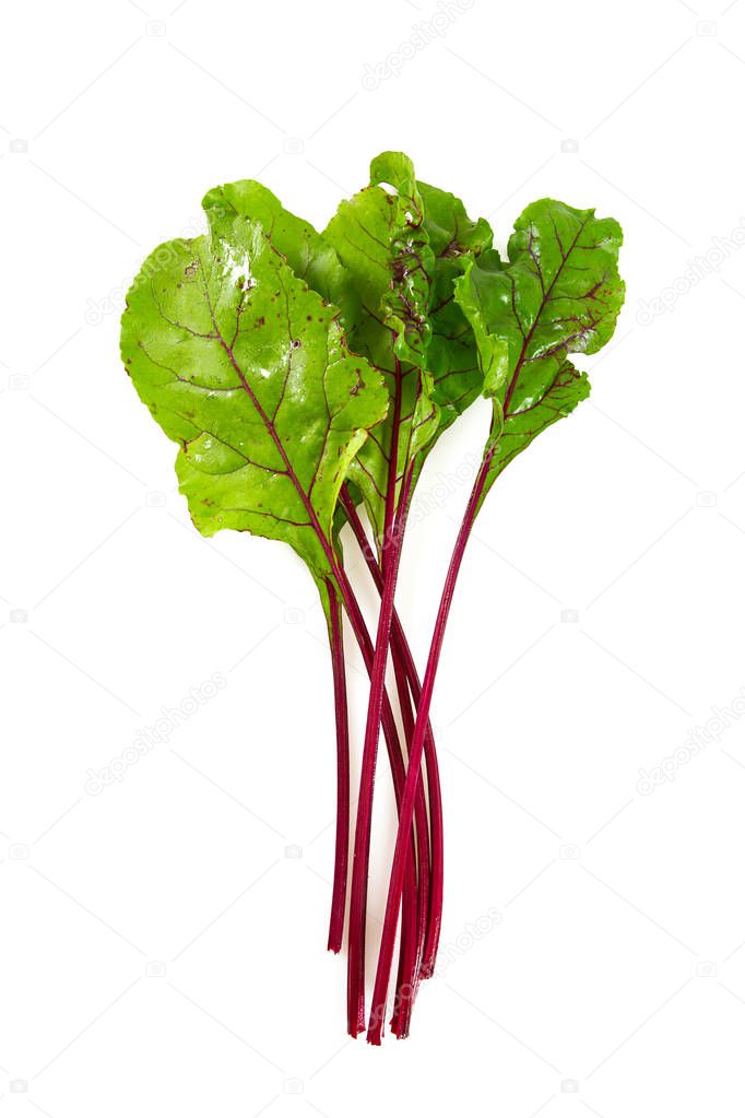 beetroot leafs isoalted on white