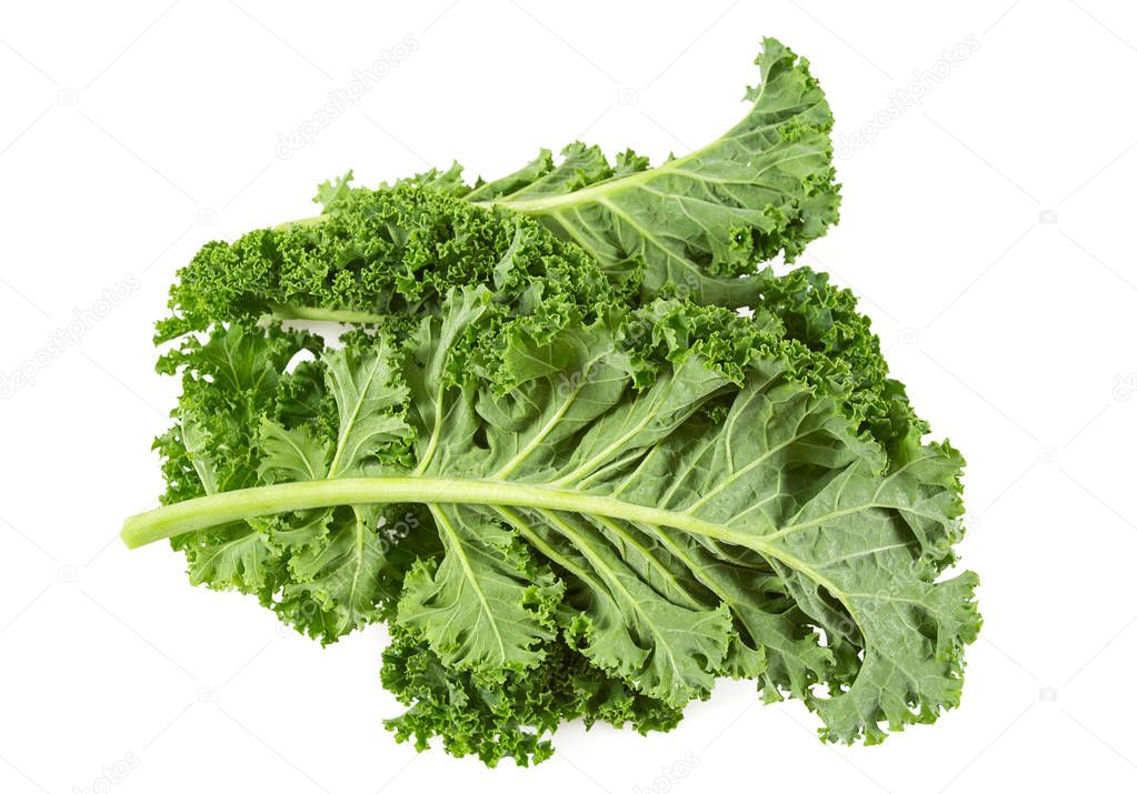 kale isolated on white background