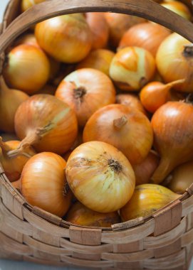 sepet Beyaz ahşap zemin üzerinde ham organik soğan ile