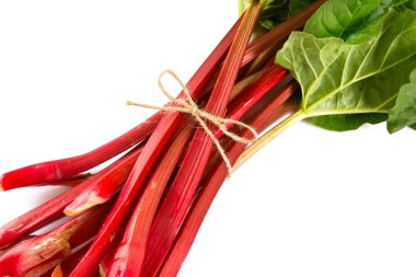 taze ravent üzerinde beyaz izole