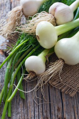taze soğan ve sarımsak ahşap yüzey üzerinde