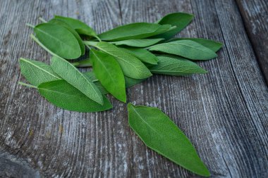 Ahşap yüzeyde bilge