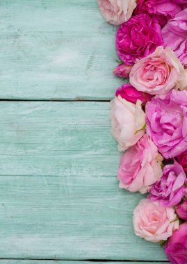 Turkuaz ahşap yüzeyde güzel pembe bahçe gül