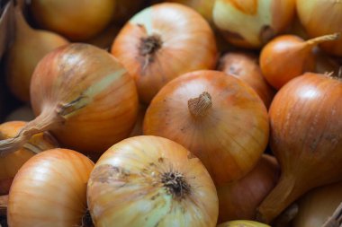 soğan arka kapatmak