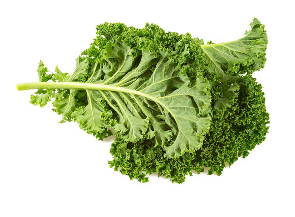 kale isolated on white background