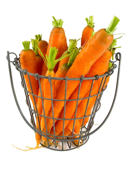 Fresh Carrots White Background — Stock Photo, Image
