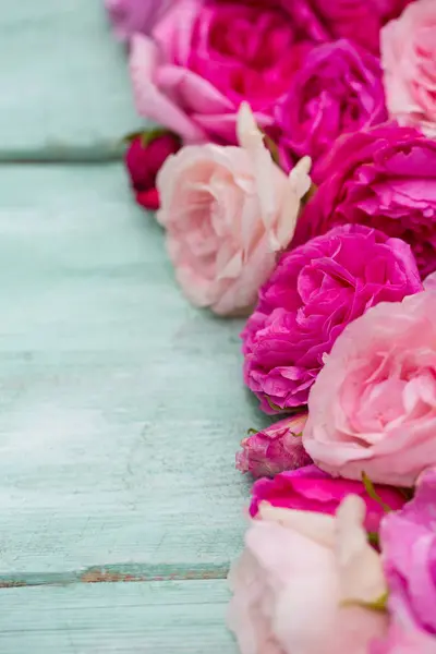 Krásné Růžové Zahrady Růže Tyrkysové Dřevěný Povrch — Stock fotografie