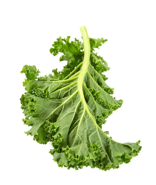 Kale Isolated White Background — Stock Photo, Image