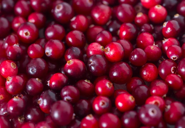Fresh Healthy Cranberries Background Full Frame View — Stock Photo, Image