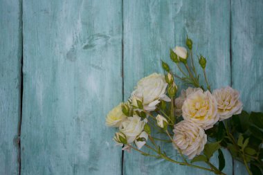 ahşap yüzey üzerinde güzel beyaz güller