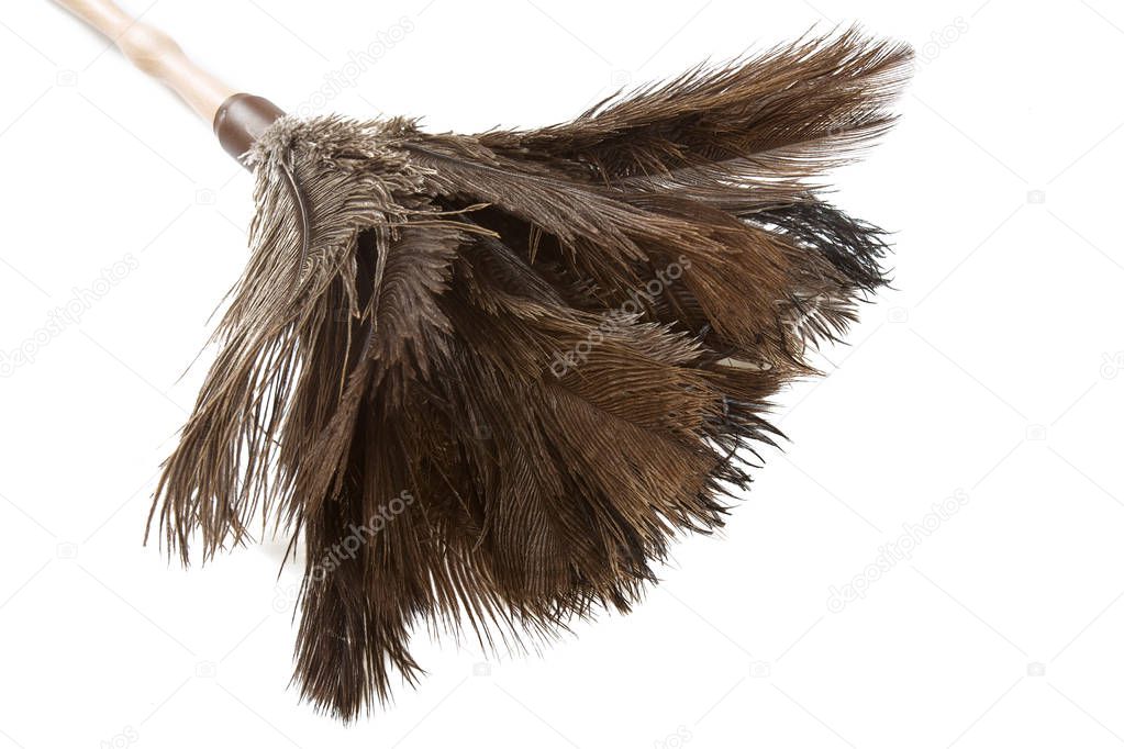 Feather duster isolated on white