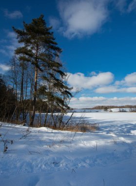 güzel kış manzara karlı kış Gölü ile