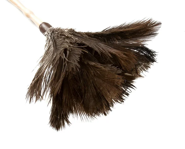 Feather Duster Isolated White — Stock Photo, Image