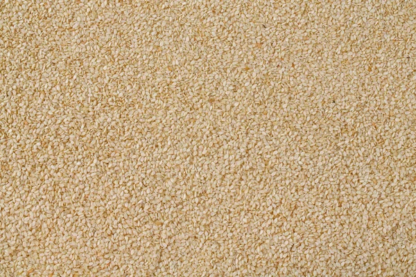 Sesame Seeds Isolated White — Stock Photo, Image