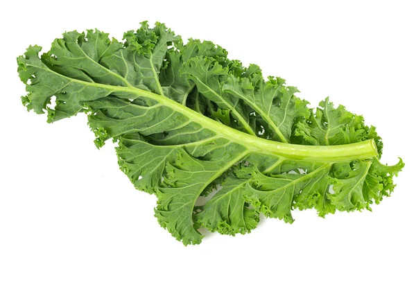 Kale Isolated White Background — Stock Photo, Image