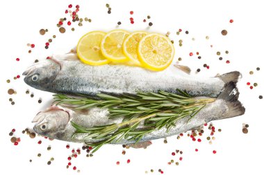 Nehir alabalığı beyaz arkaplanda izole edilmiş