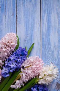 Taze sümbül mavi woden yüzeyi