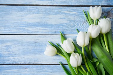 ahşap yüzey üzerinde güzel taze laleler