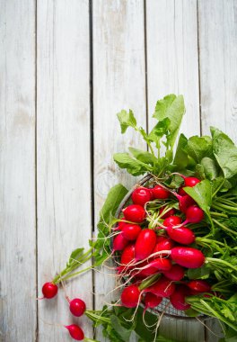 ahşap yüzey üzerinde taze ham turp