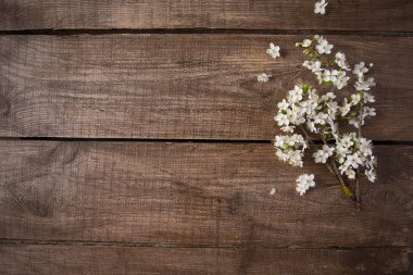 ahşap yüzey üzerinde güzel bahar çiçekleri