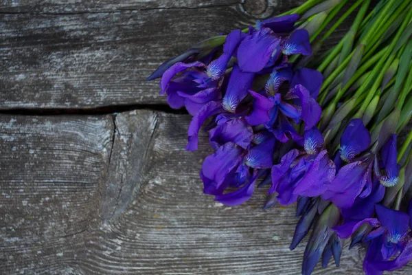 Krásný Iris Květiny Dřevěný Povrch — Stock fotografie