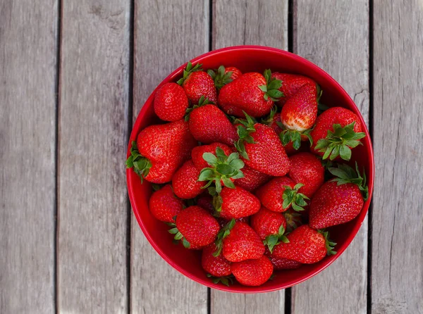 Erdbeeren Einer Roten Schüssel — Stockfoto