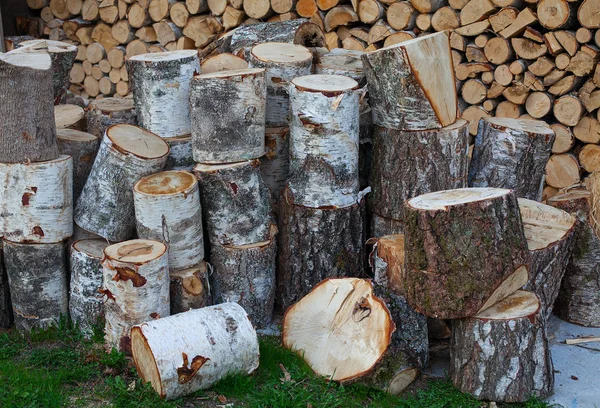 Logs Birch Firewood Close — Stock Photo, Image