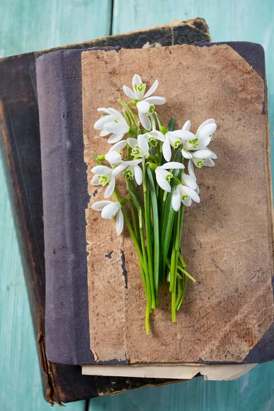 Snowdrop Old Book — Stock Photo, Image