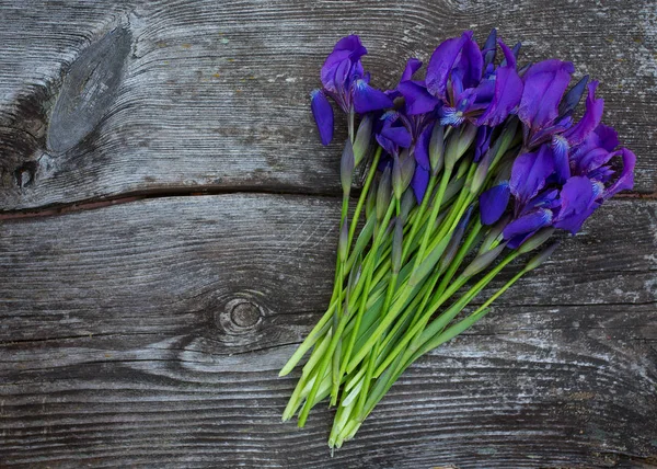 Krásný Iris Květiny Dřevěný Povrch — Stock fotografie