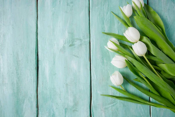 Turkuaz ahşap yüzeyde güzel beyaz laleler
