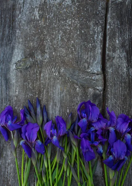 Hermosas Flores Iris Superficie Madera — Foto de Stock