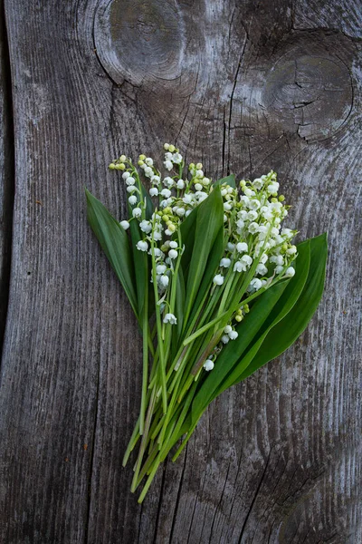 Mooie Lelietje Van Dalen Bloemen Houten Oppervlak — Stockfoto