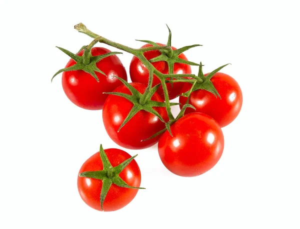 Rameau Tomate Isolé Sur Blanc — Photo