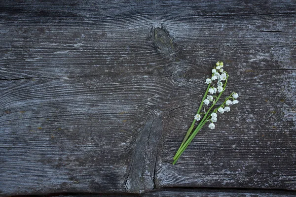 Όμορφο Κρίνο Λουλούδια Ξύλινη Επιφάνεια — Φωτογραφία Αρχείου