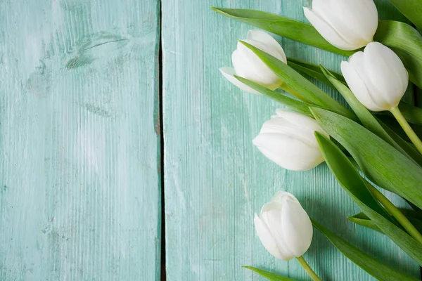 Schöne Weiße Tulpen Auf Türkisfarbener Holzoberfläche — Stockfoto