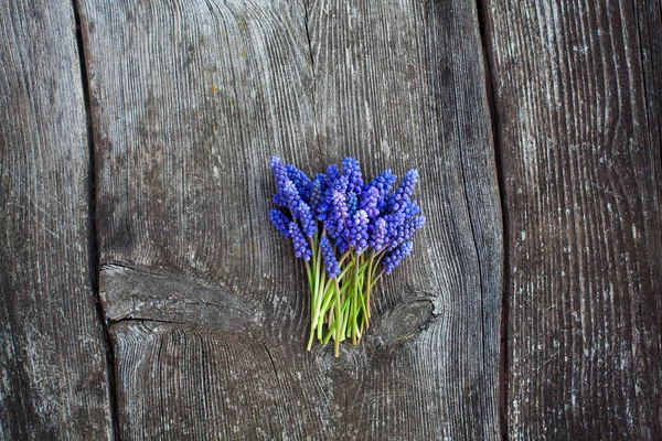 Prachtige Druif Hyacint Bloemen Oude Houten Oppervlak — Stockfoto