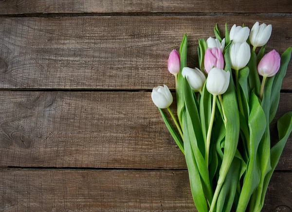 Beautiful Fresh Tulips Wooden Surface — Stock Photo, Image