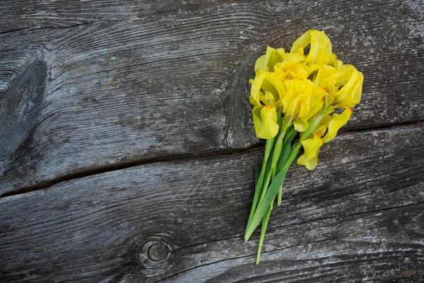 Beautiful Yellow Irises Wooden Surface — Stock Photo, Image