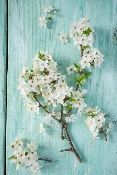 Beautiful Spring Blossoms Wooden Surface — Stock Photo, Image