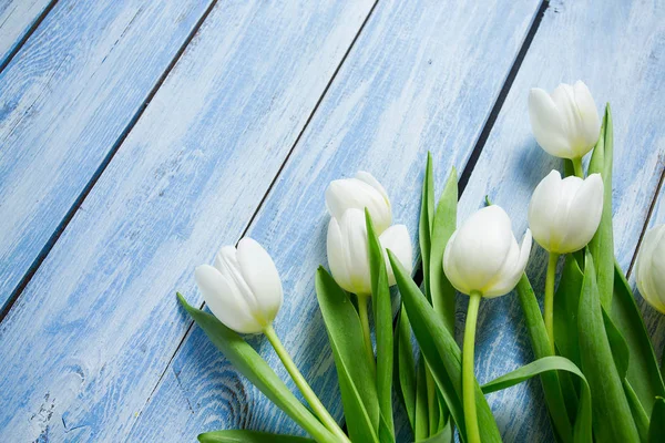 Beautiful Fresh Tulips Wooden Surface — Stock Photo, Image