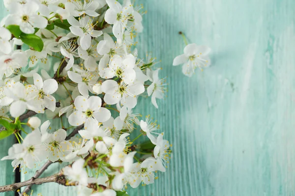 Piękne Wiosenne Kwiaty Powierzchni Drewnianych — Zdjęcie stockowe