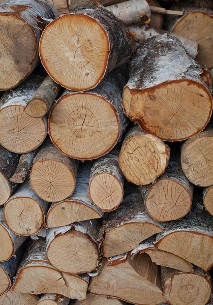 Logs Madeira Bétula Close — Fotografia de Stock