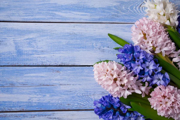 Čerstvé Hyacinty Modré Woden Povrchu — Stock fotografie