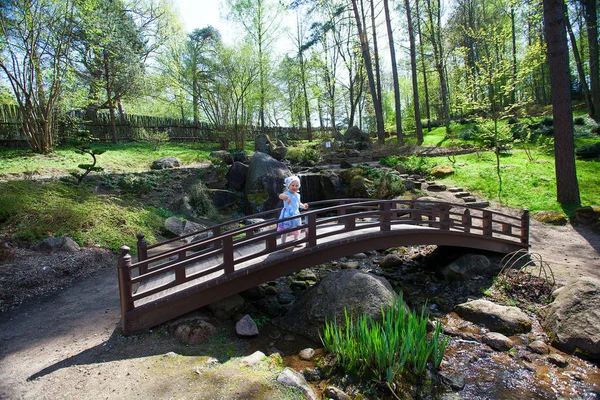 Söt Flicka Vacker Vår Park — Stockfoto