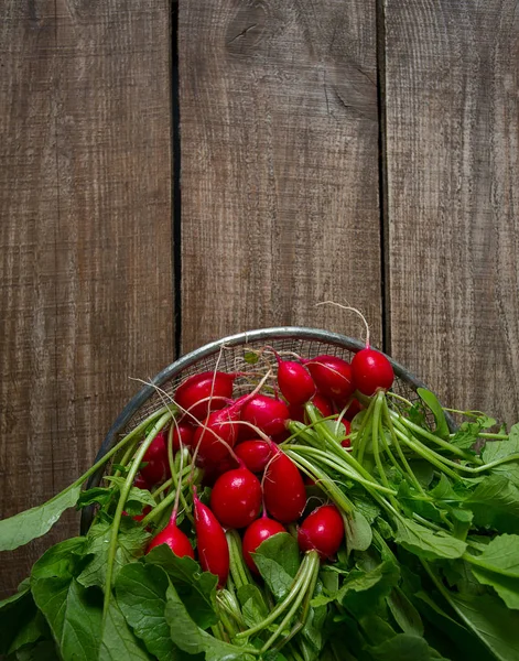 Färsk Rädisor Träytan — Stockfoto