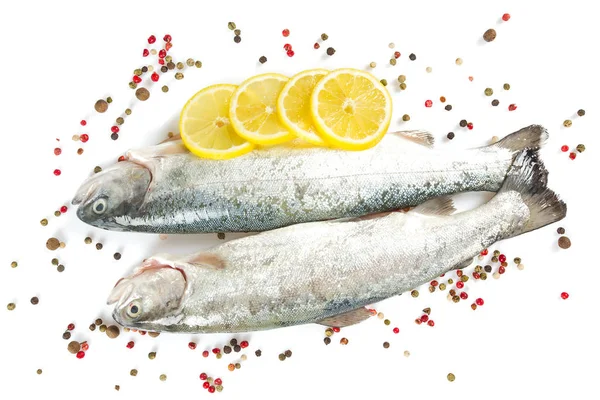 Nehir alabalığı beyaz arkaplanda izole edilmiş