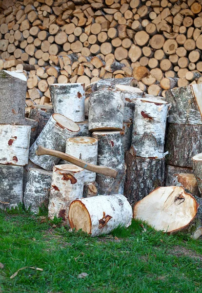 Logs Madeira Bétula Close — Fotografia de Stock