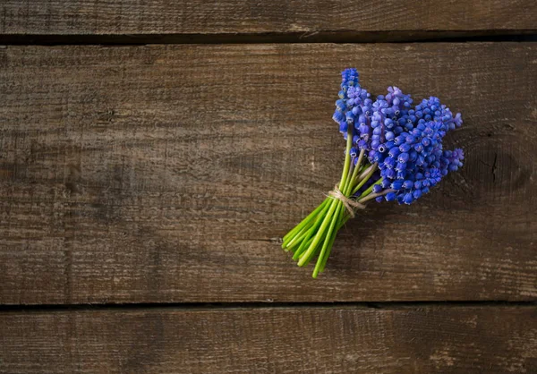 Όμορφη Muscari Ανοιξιάτικα Λουλούδια Ξύλινη Επιφάνεια — Φωτογραφία Αρχείου