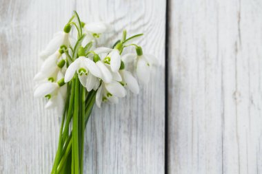 ahşap yüzey üzerinde güzel taze kardelen